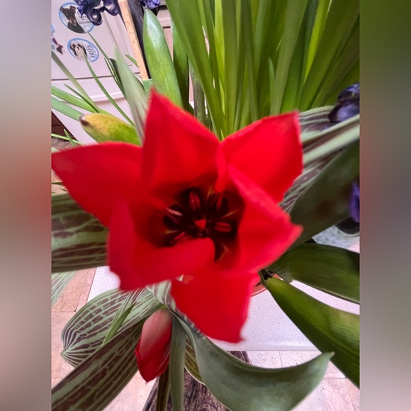 We’ll Soon Be Welcoming Summer 2024! 🦋🌸🌞 🛍️ 💫✨🎉 - Picture 12 of 16